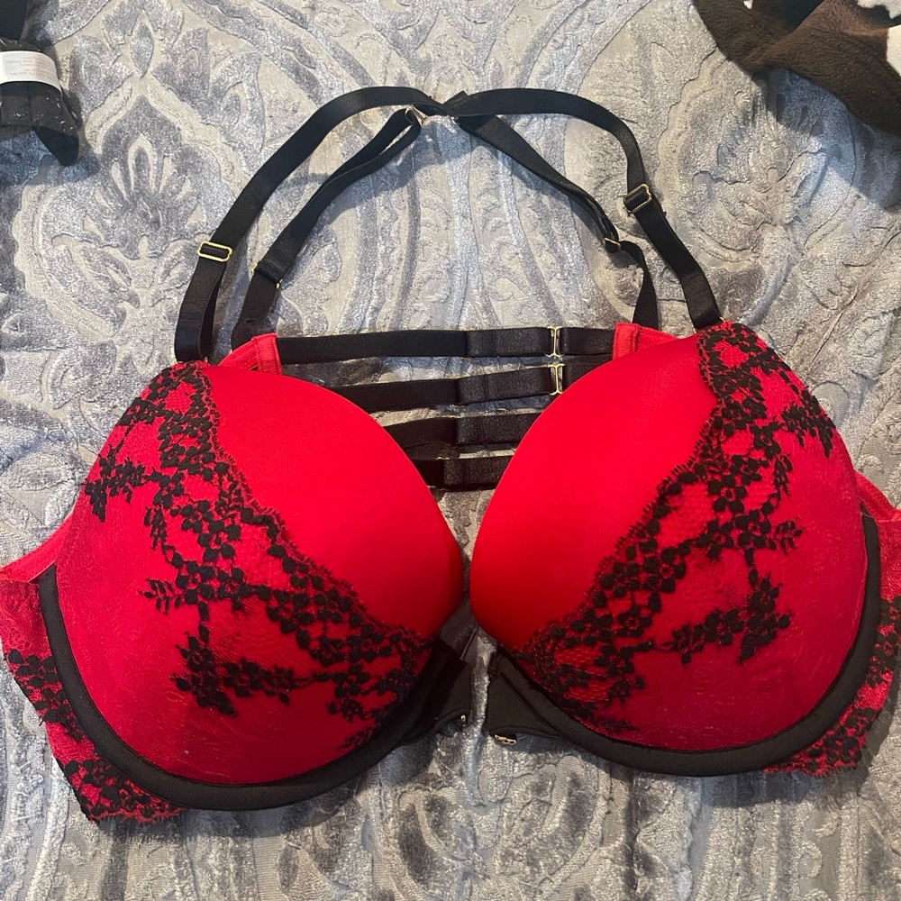 lame bryant bra